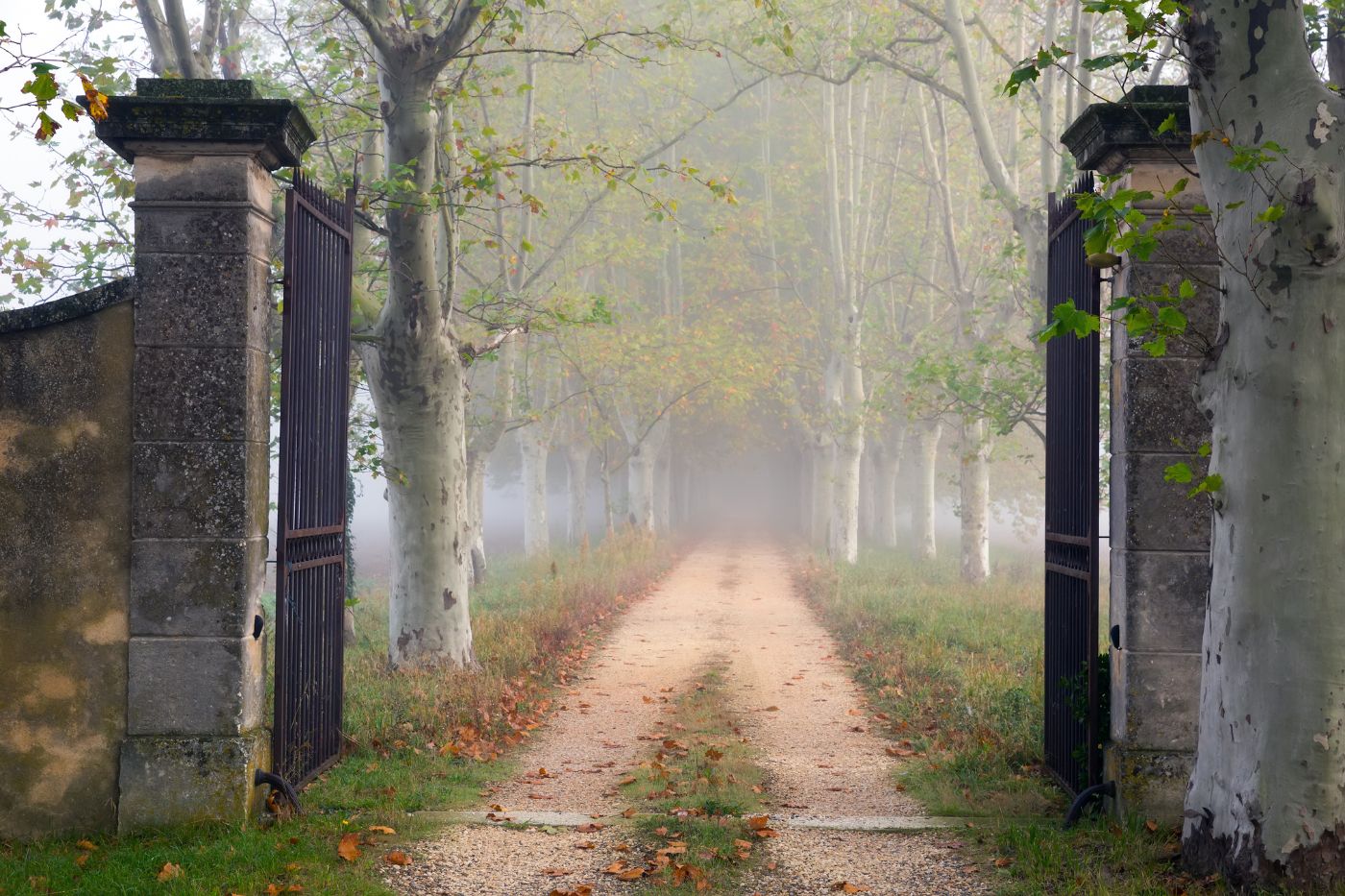 Walking through a large gate on a path in a misty forest with light at the end of the path